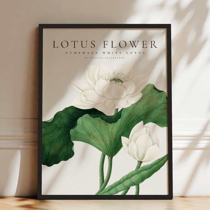 Poster com Impressão de Flor de Lótus Branca por atacado de Seven Icons Store