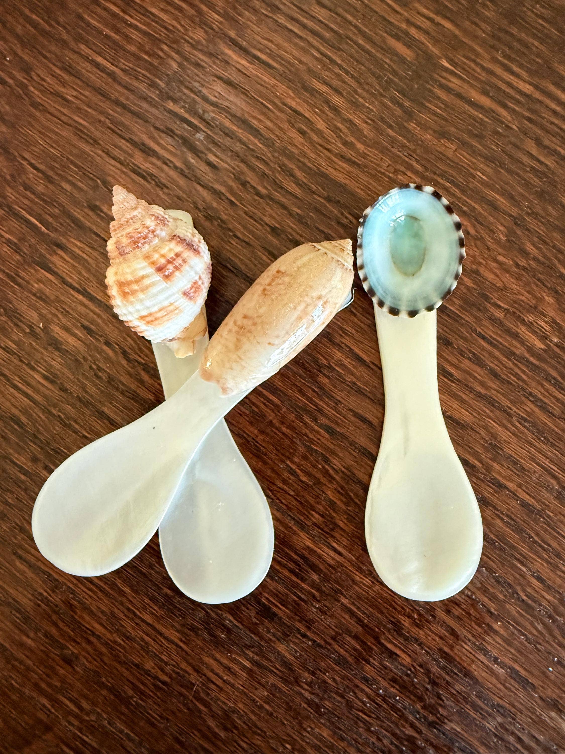 The Ornate Oyster - Wholesale Serving Utensil - Mother of Pearl Spoons for Caviar & Charcuterie Boards1