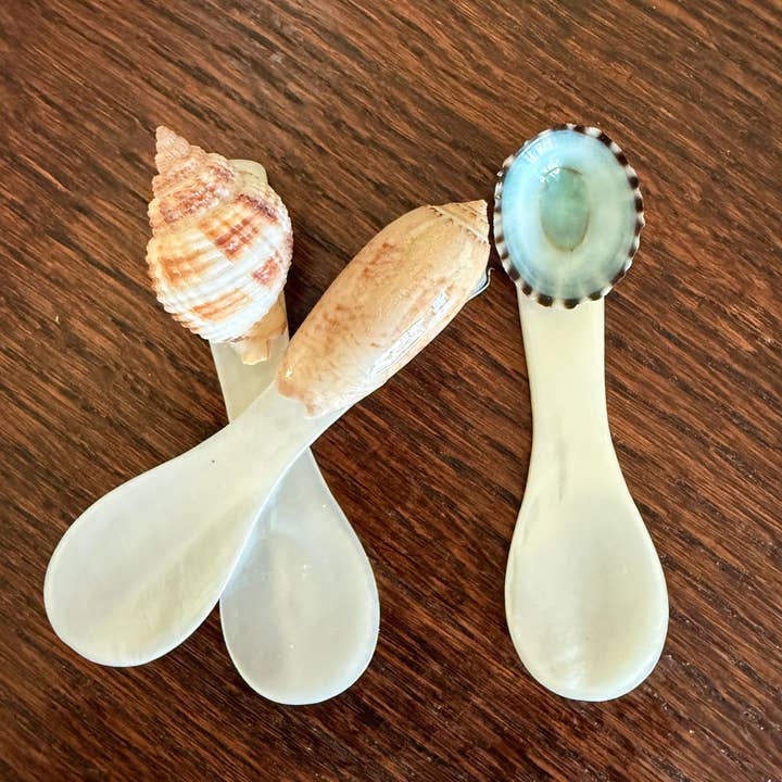 The Ornate Oyster - Wholesale Serving Utensil - Mother of Pearl Spoons for Caviar & Charcuterie Boards1