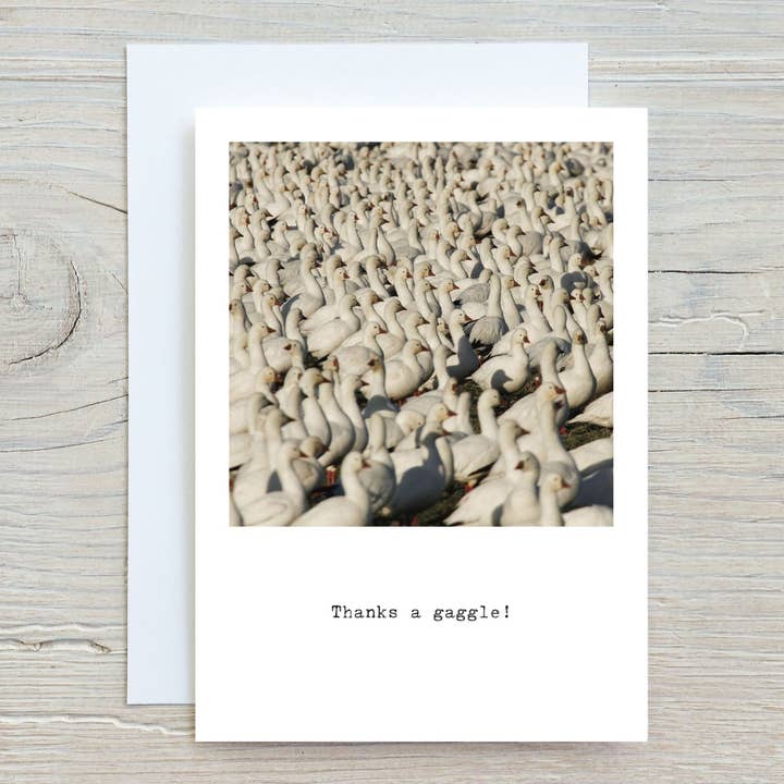 Bedankkaart met Sneeuwganzen voor wholesale door Elster Photography/Big Picture Greetings