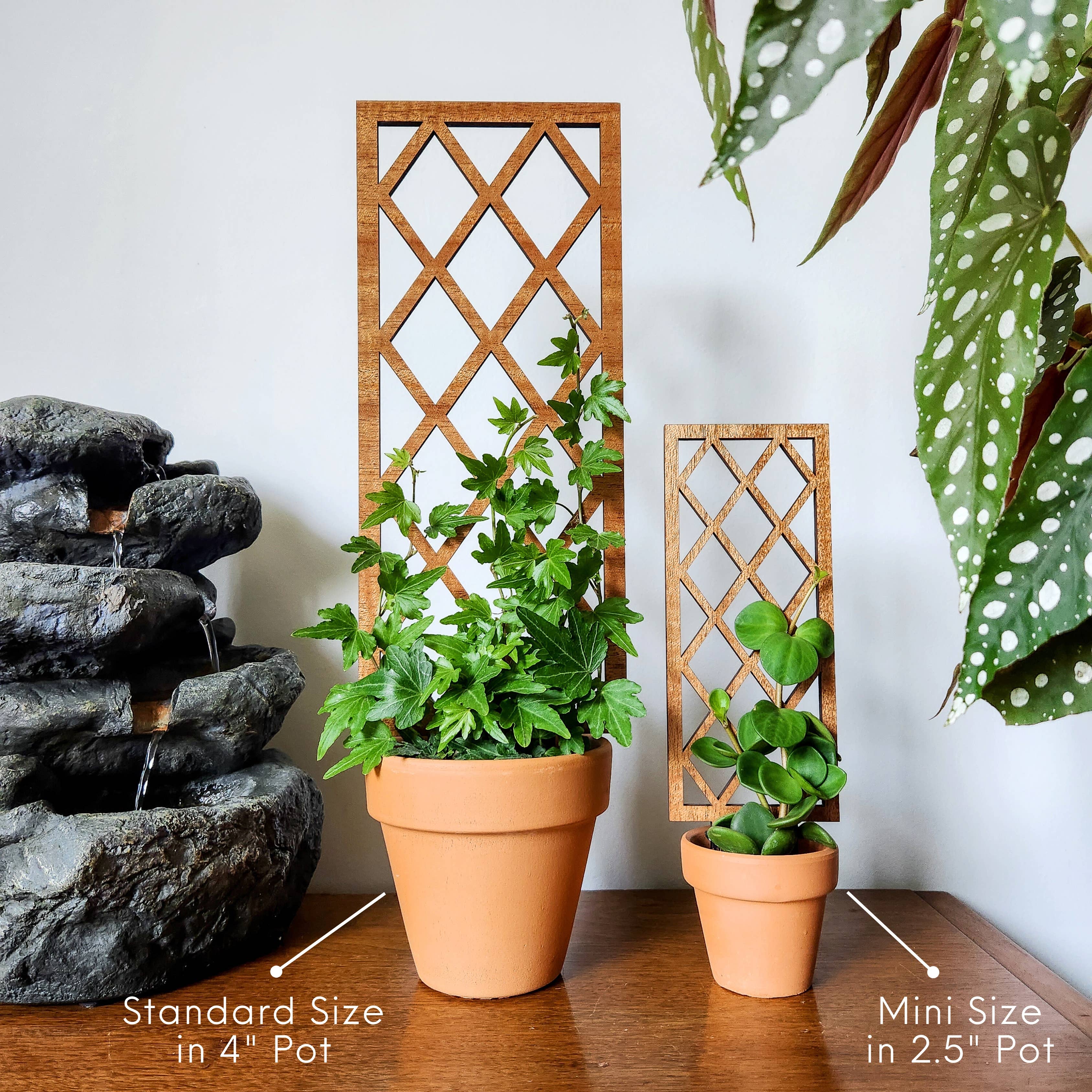 Leaf & Node - Wholesale Trellis - Lattice Indoor Wooden House Plant Trellis (2 Size Options)2
