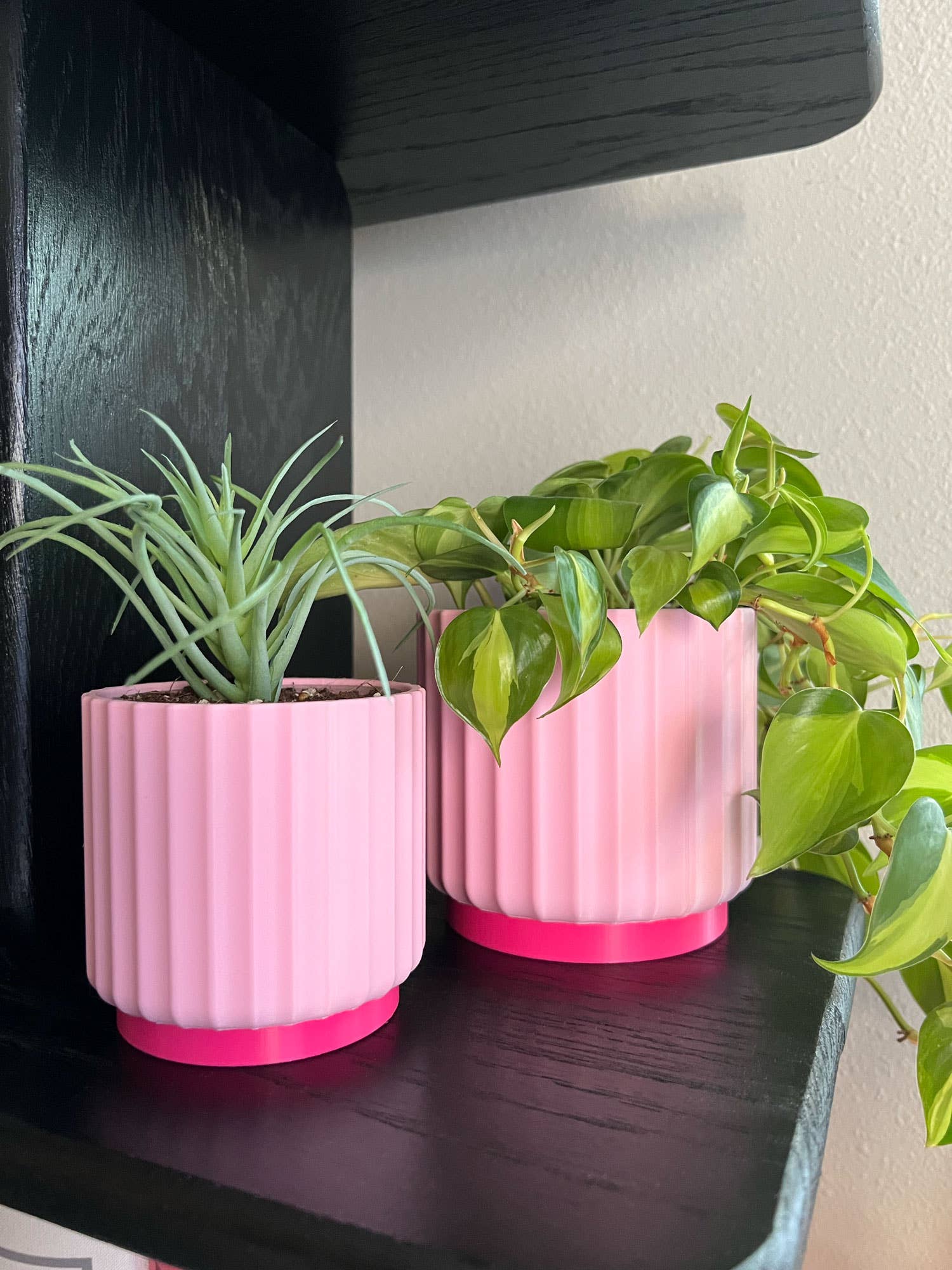 Daisy Wood Design - Wholesale Plant Pot - Color Pop Planters (Singles) – Pink & Yellow Pots

4
