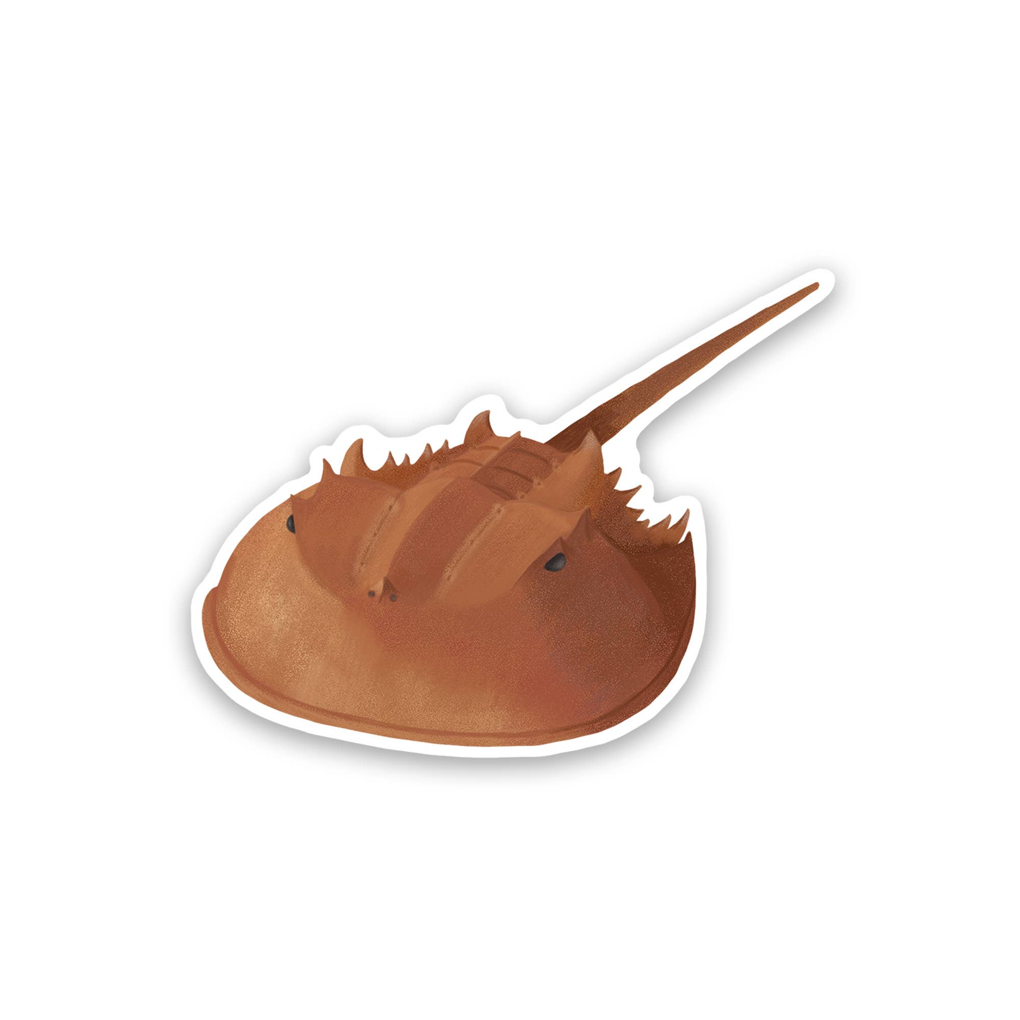 Proper Wolf - Wholesale Sticker - Horseshoe Crab Vinyl Sticker Decal