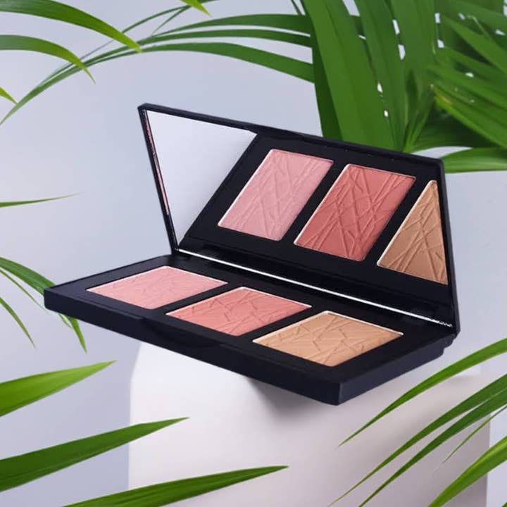 Pro Cheek Palette. for wholesale by PHNX Cosmetics