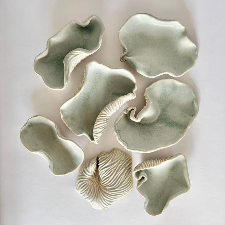 Shell Dish - Sea Green for wholesale by Parallel Hands