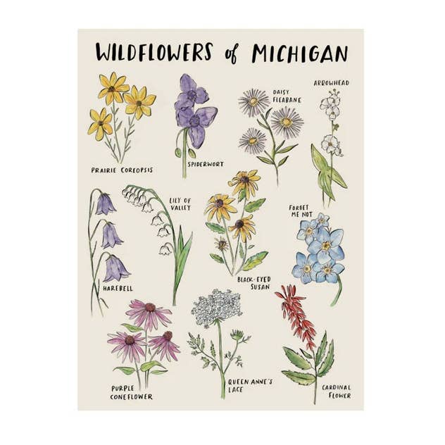 Michigan Wildflowers Giclee Print for wholesale by City Bird