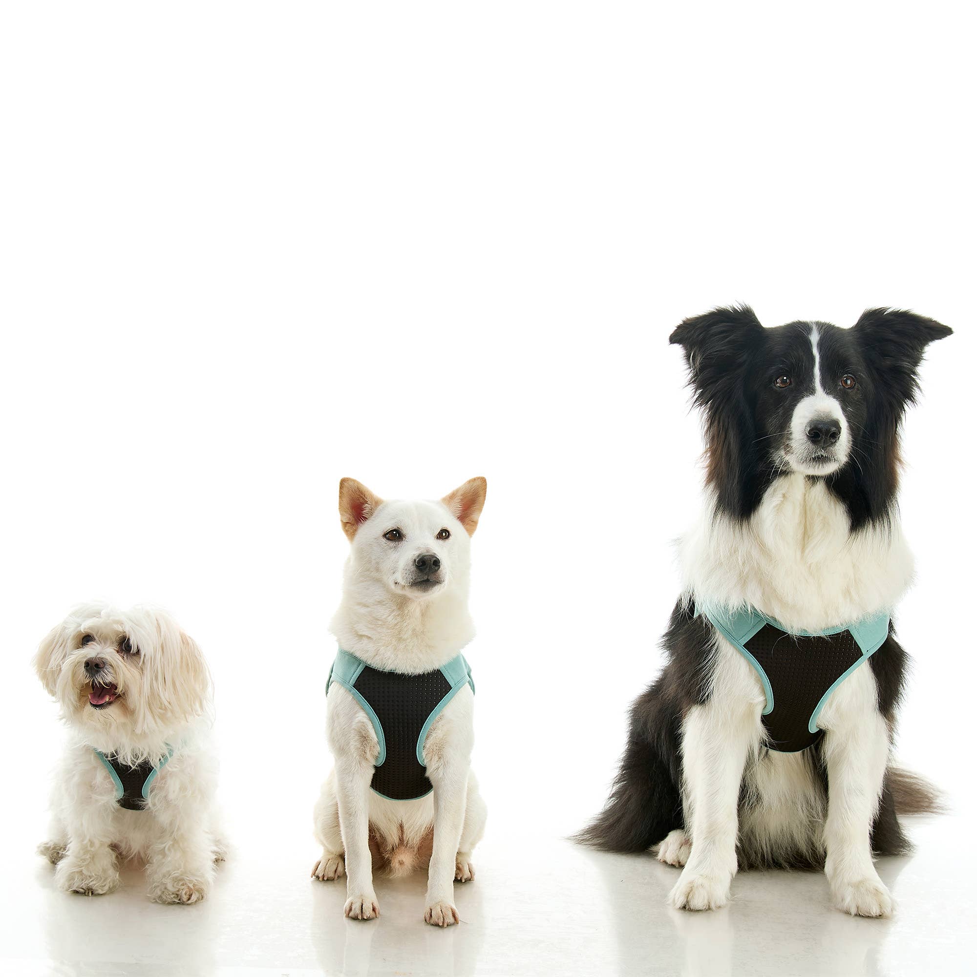 Gooby - Wholesale Pet Harness - Dog - #04235 - Escape Free Easy Fit Plus Harness13