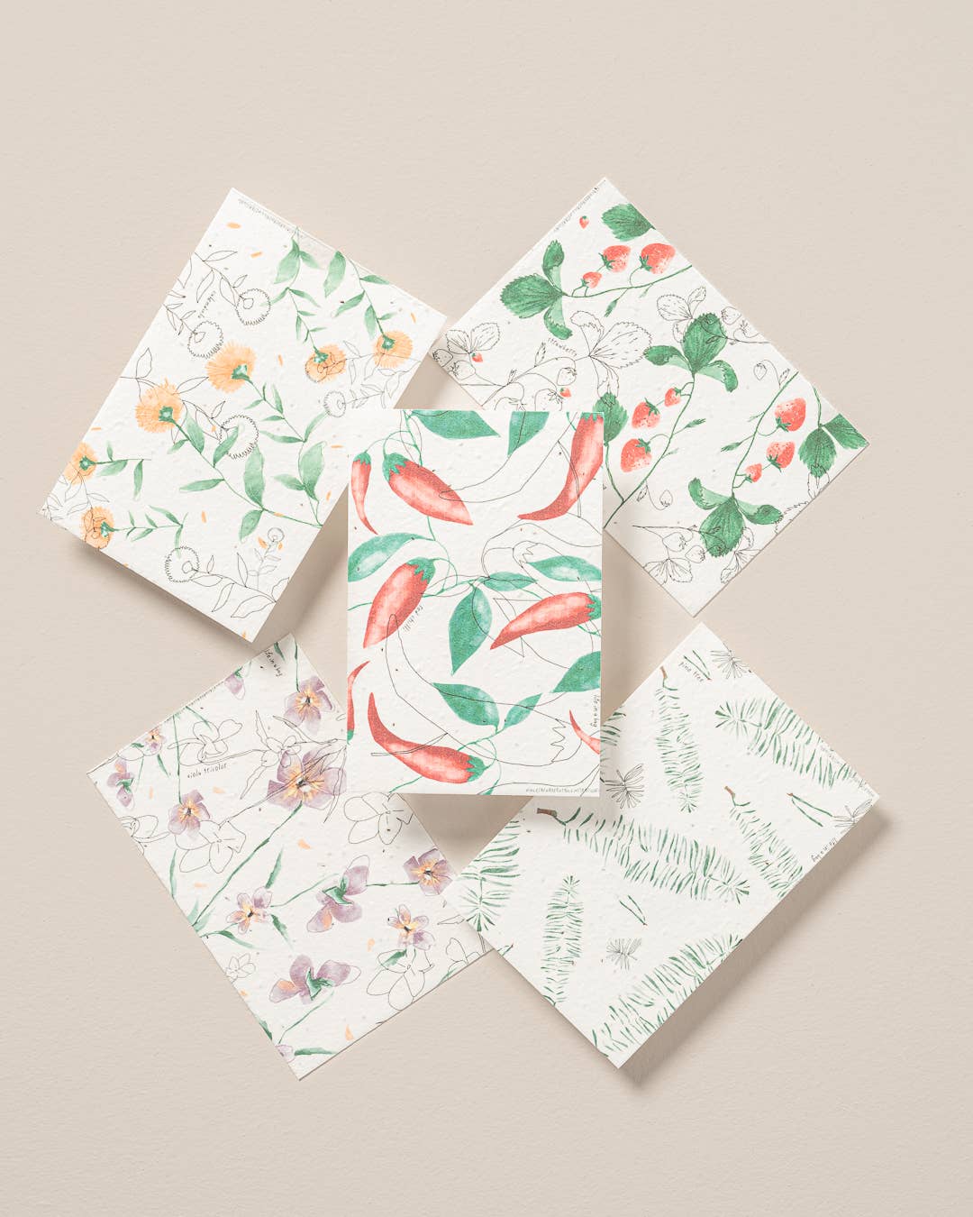 Life in a bag - Wholesale Plant Seeds - Postcard for Planting with Pine Tree Illustration1