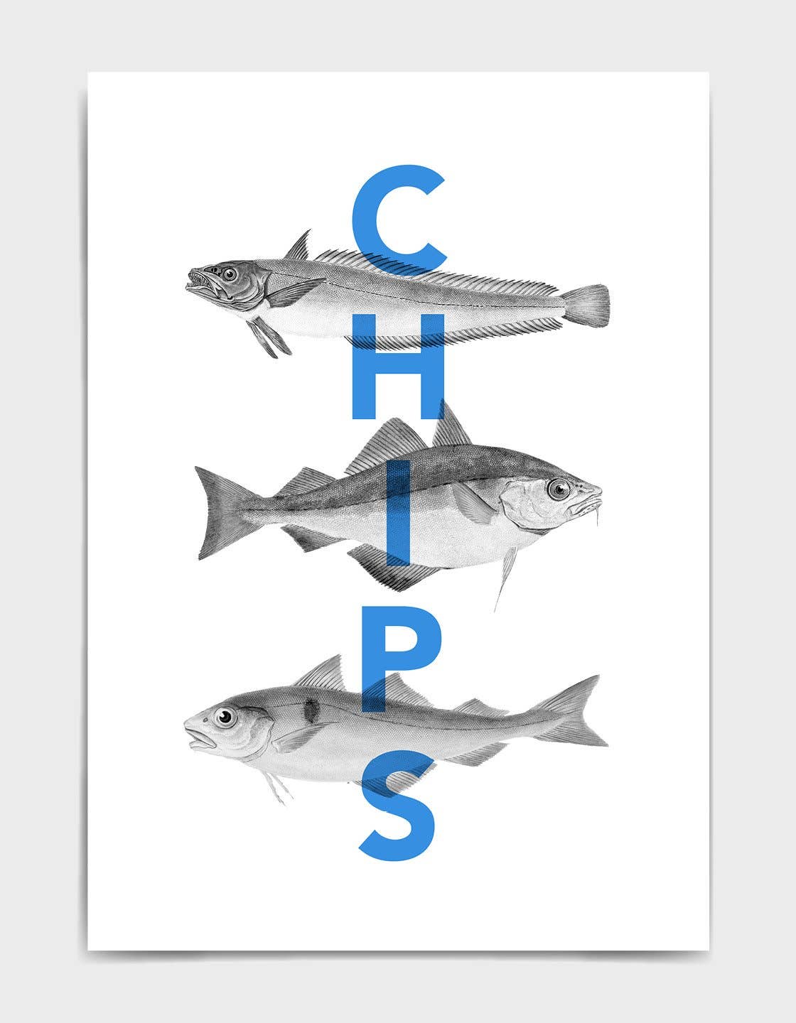 Rocket Jack – wholesale Art print – Fish and chips1