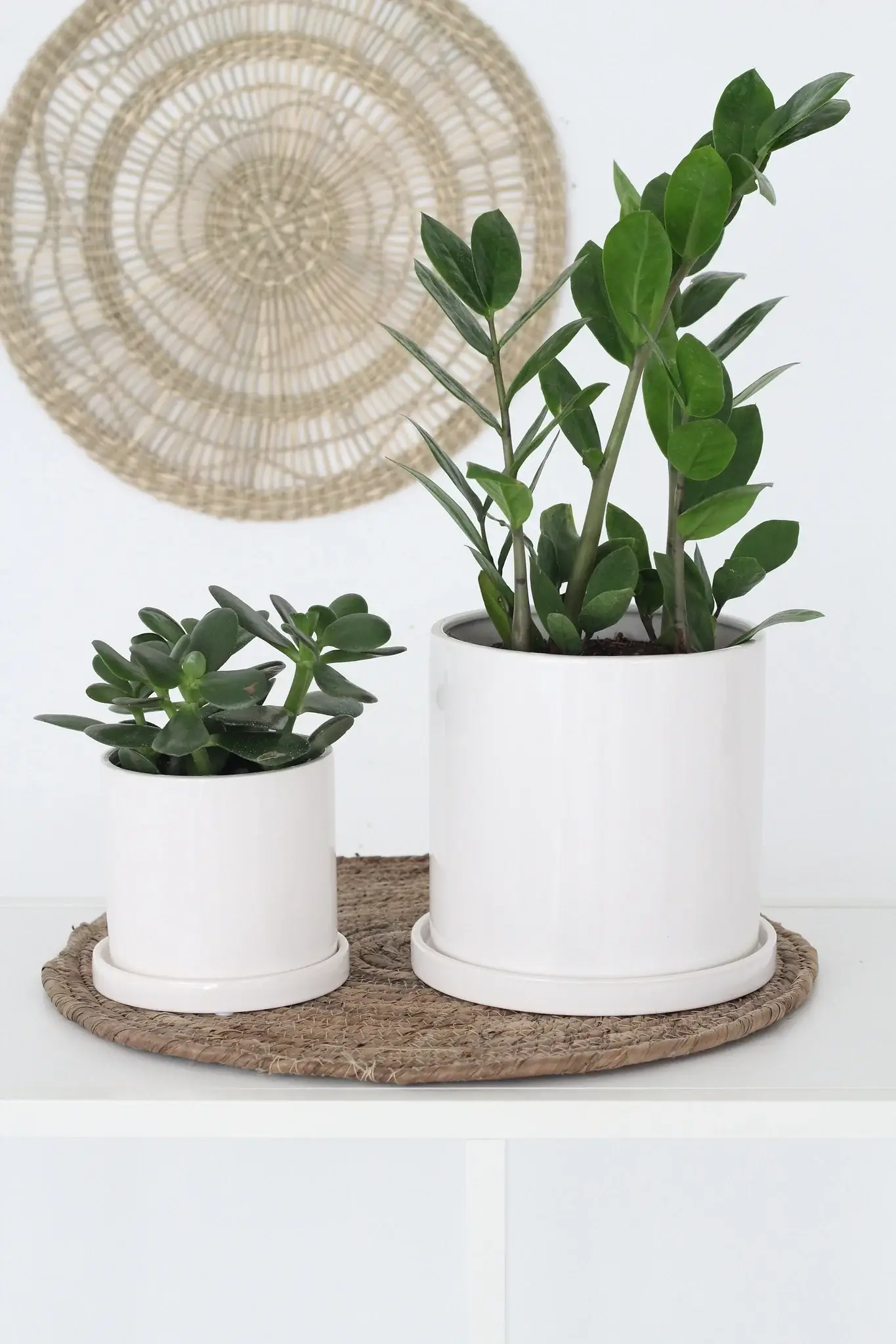 Sprout & About - Wholesale Plant Pot - Small Planter with Saucer in Minimalist Glossy White2