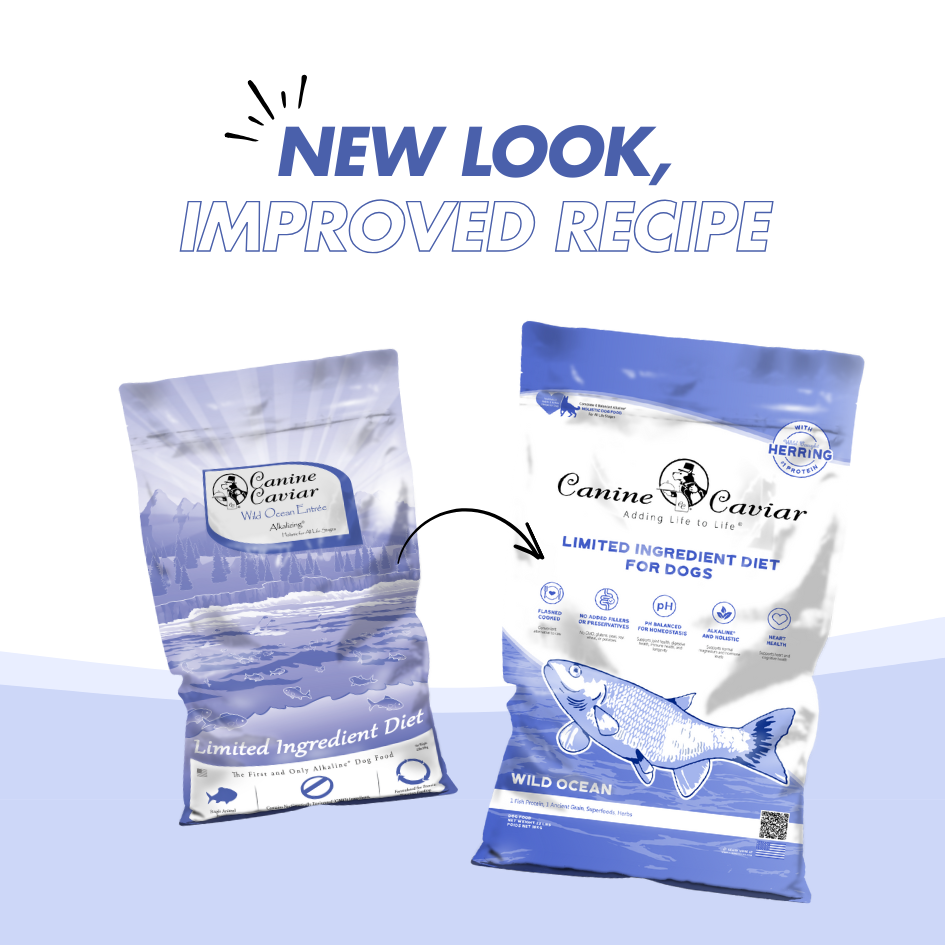 Canine Caviar - Wholesale Pet Food - Dog - Wild Ocean Limited Ingredient Alkaline® Entrée All Life 22lb6