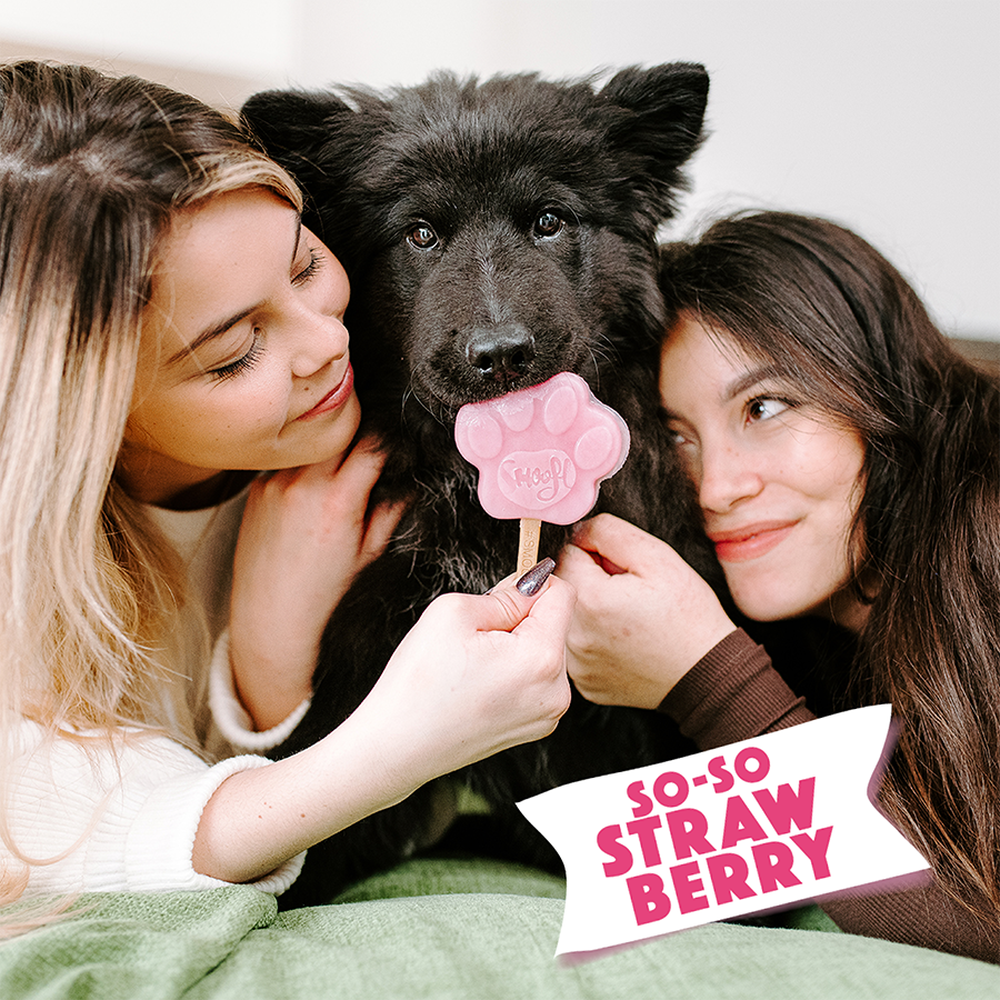 Smoofl - Wholesale Pet Biscuit - Dog - Strawberry mix for dog ice4