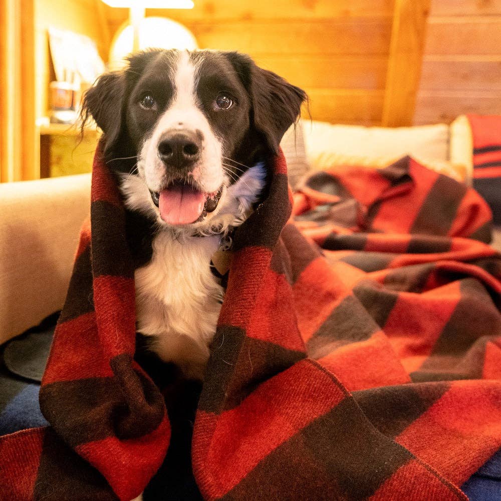 Arcturus - Vendita all'ingrosso Coperta - Coperta di lana Arcturus Backwoods31