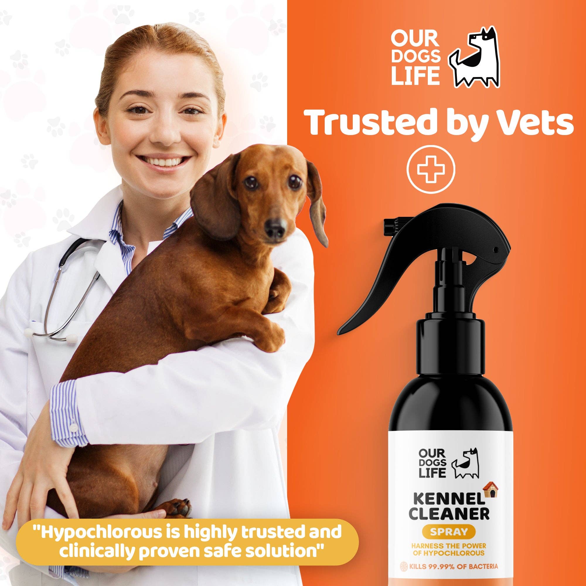 OurPetsLife – wholesale Pet cleaning supplies – Kennel Cleaner Disinfectant for Dogs6
