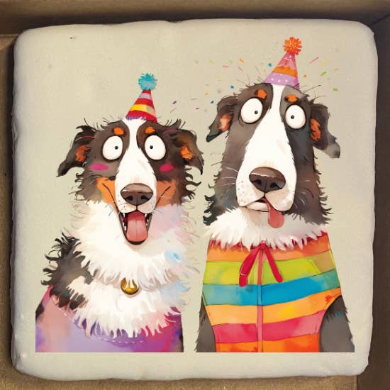 Pawty Pup - 2" Printed POS Dog Cookies for wholesale by Bucho's Barkery