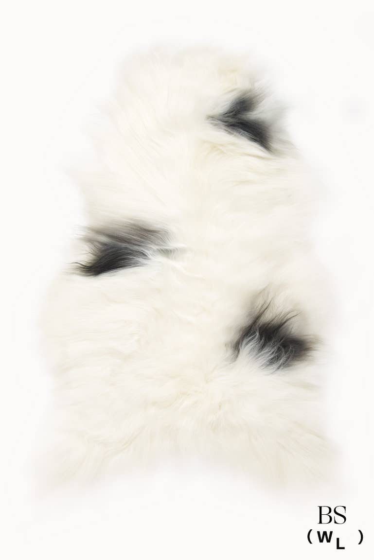 Black Sheep (White Light) - Wholesale Area Rug - Spotted Icelandic Sheepskin Throw Rug | Minimal3