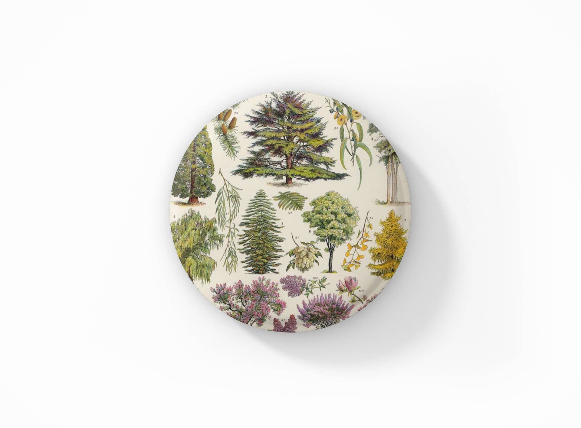 NatureCuts – Engroshandel Reversnål/knap – Trænål, Trænøglering, Træmagnet