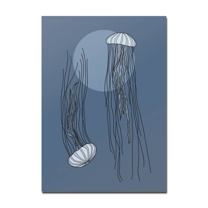 Rotberta - Wholesale Postcard - postcard jellyfish0