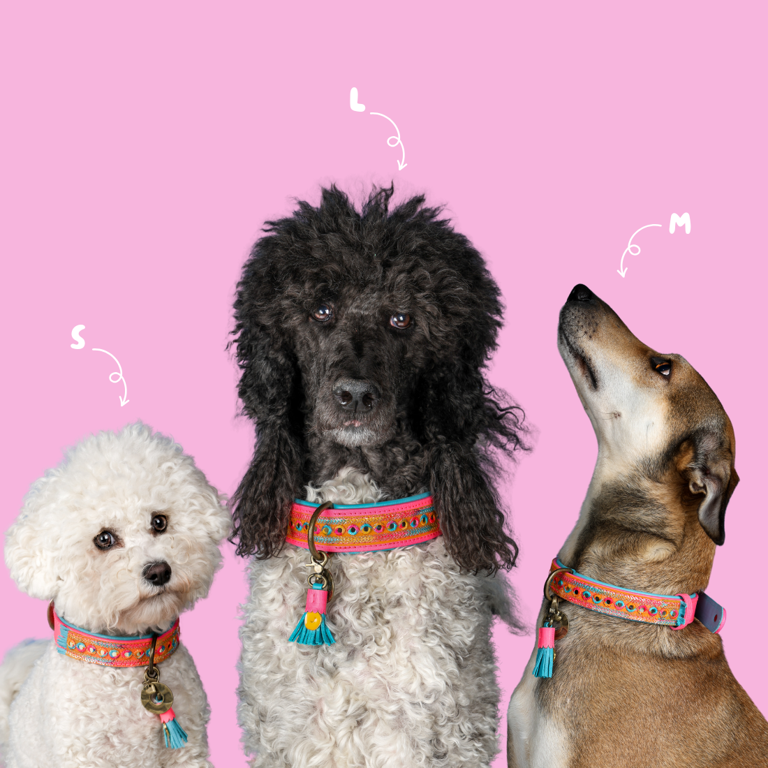 Dog with a Mission - Wholesale Pet Collar - Dog - Indian Summer Necklace2