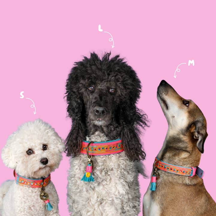 Dog with a Mission - Wholesale Pet Collar - Dog - Indian Summer Necklace2