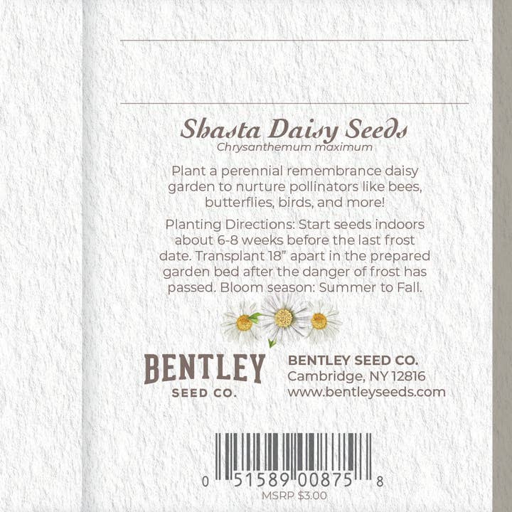 Bentley Seed Co. - Wholesale Sympathy Card - With Deepest Sympathy - Shasta Daisy Seed Packets1