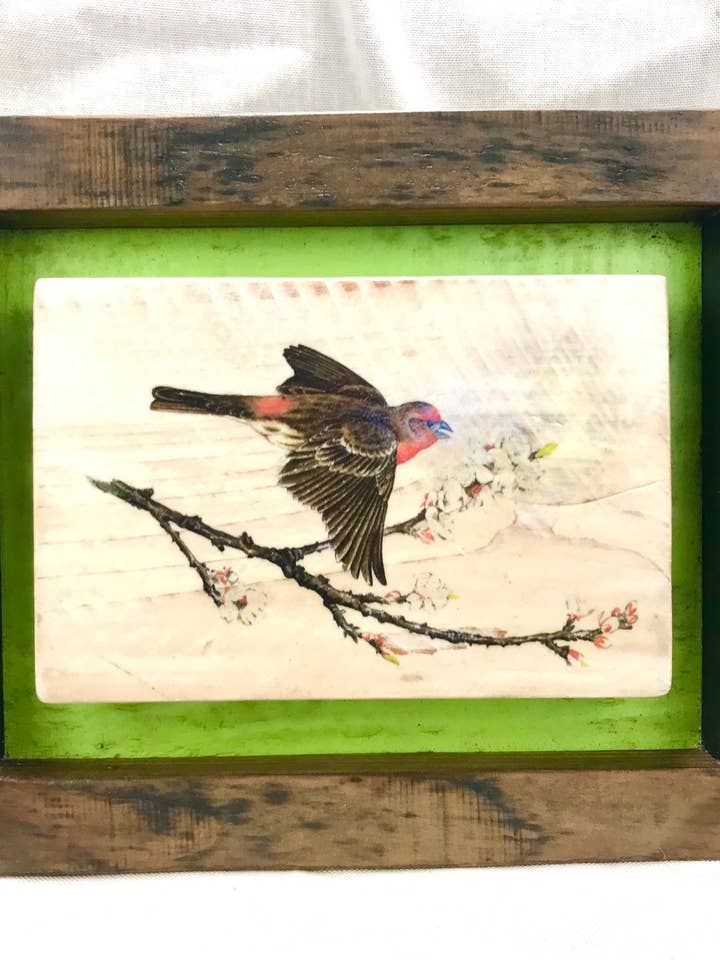 Huisvink op hout/ingelijste print/cadeau/vogelkunst voor wholesale door Streetlightbirds