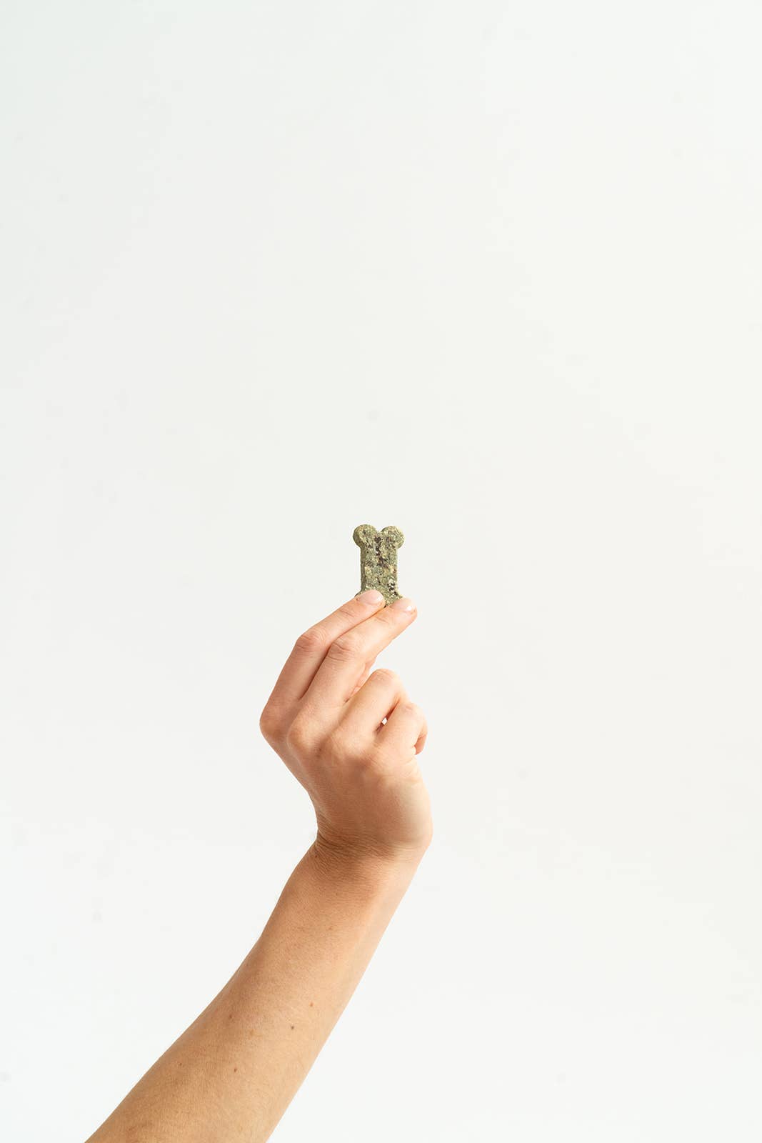 Winnie Lou - Vente Friandises – chien - Os Souffle de menthe3