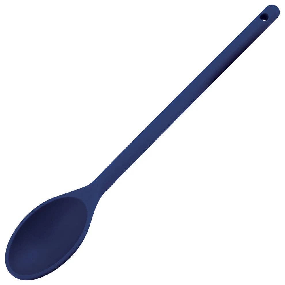EcoQuality - Wholesale Kitchen Spoon - NS-12B to 15W, 12" Blue to off White Nylon Spoon, EA4