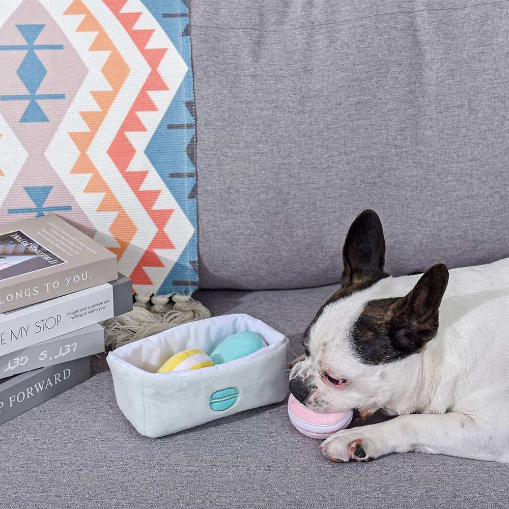 Hugsmart Products Inc - Wholesale Pet Squeaky Toy - Dog - HugSmart Pet - Pooch Sweets | Macarons - Interactive Toy4