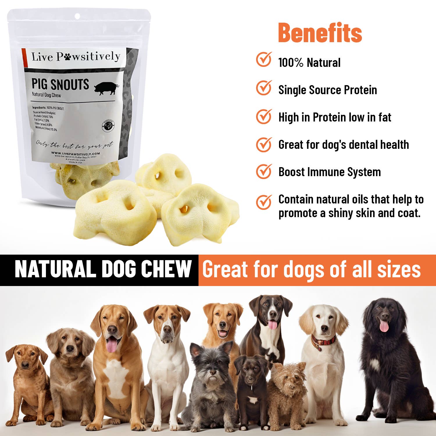 Live Pawsitive - Wholesale Pet Treats - Dog - Pig Snout 4 Pack - Natural dog chew 2