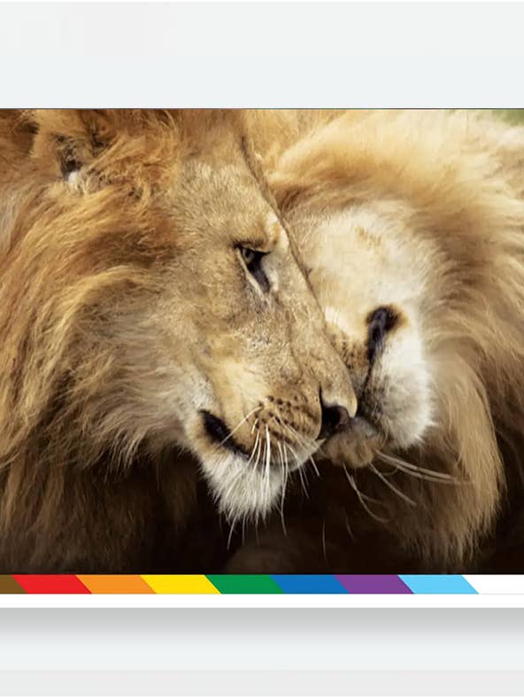 Fierce Love for wholesale by Tribal Message