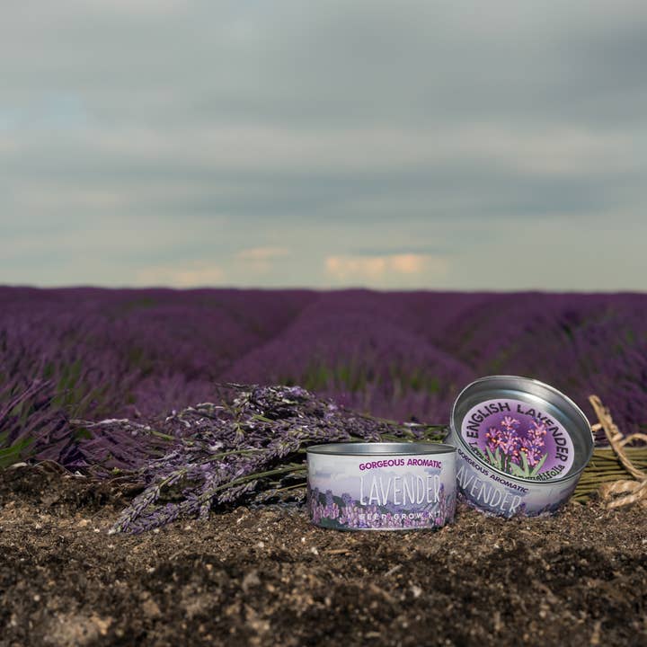 The Jonsteen Company - Wholesale Plant Seeds - Lavender | Flower Seed Grow Kit8