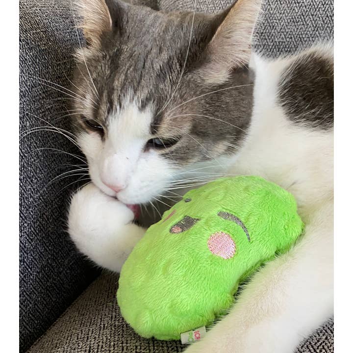 Screaming Pickles - Vente Jouet couineur – chien - Jouets pour animaux de compagnie faits à la main - Catnip/Dog Squeaker Mini Pickle11