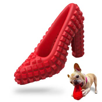 Chien Fitness Ring Morsure de chien Anneau de dressage de chien, animal de  compagnie Chien Jeu en plein air Exercices d'agilité