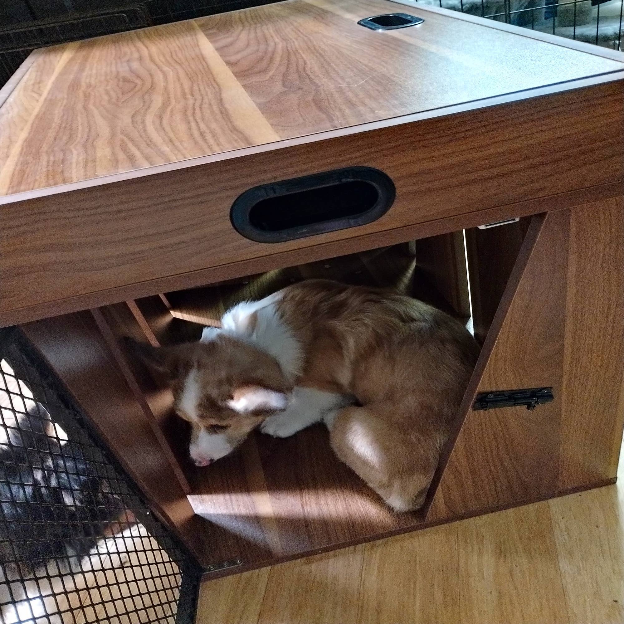 Designer Pet Products, LLC - Wholesale Pet Carrier - Cat/Dog - Dog Crate ,Dog Furniture ,Lucky Kennels Penny9