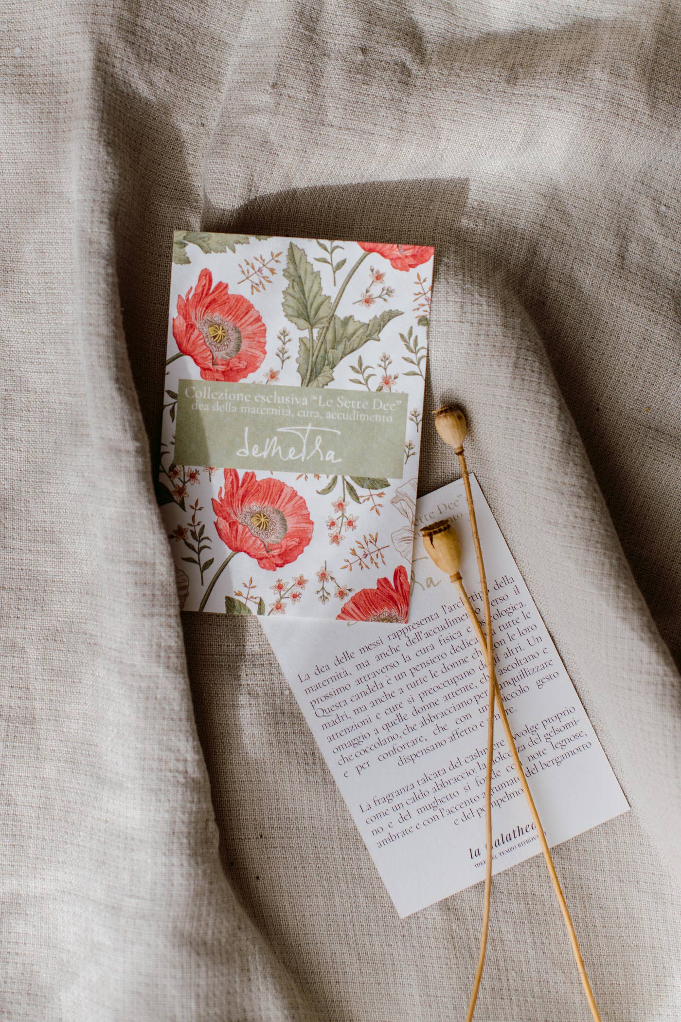 La Calathea - Vente Bougie en bocal - Bougie Candela Demetra6