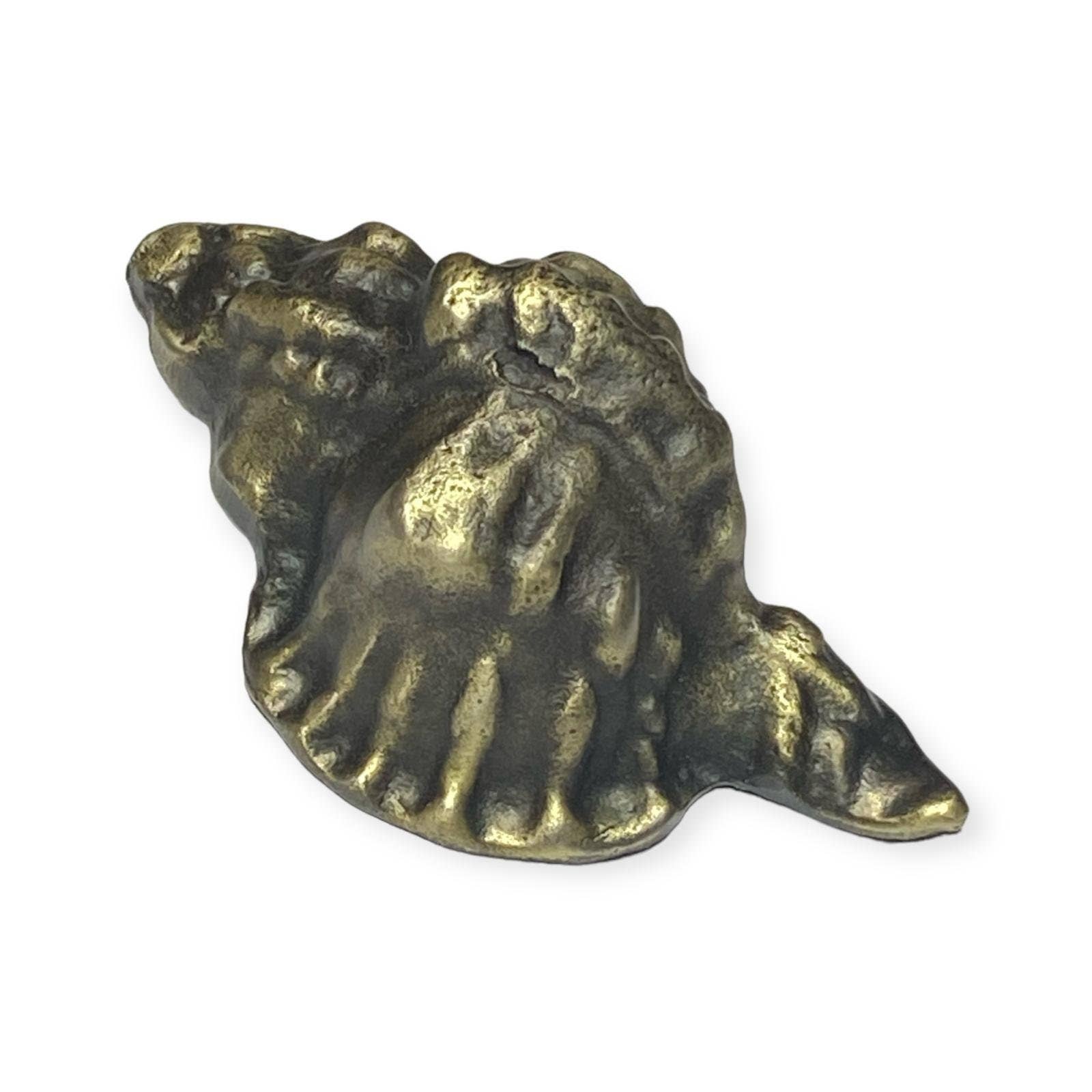 Nautical n Tropical - Wholesale Knob/pull - Brass Shell Knobs0