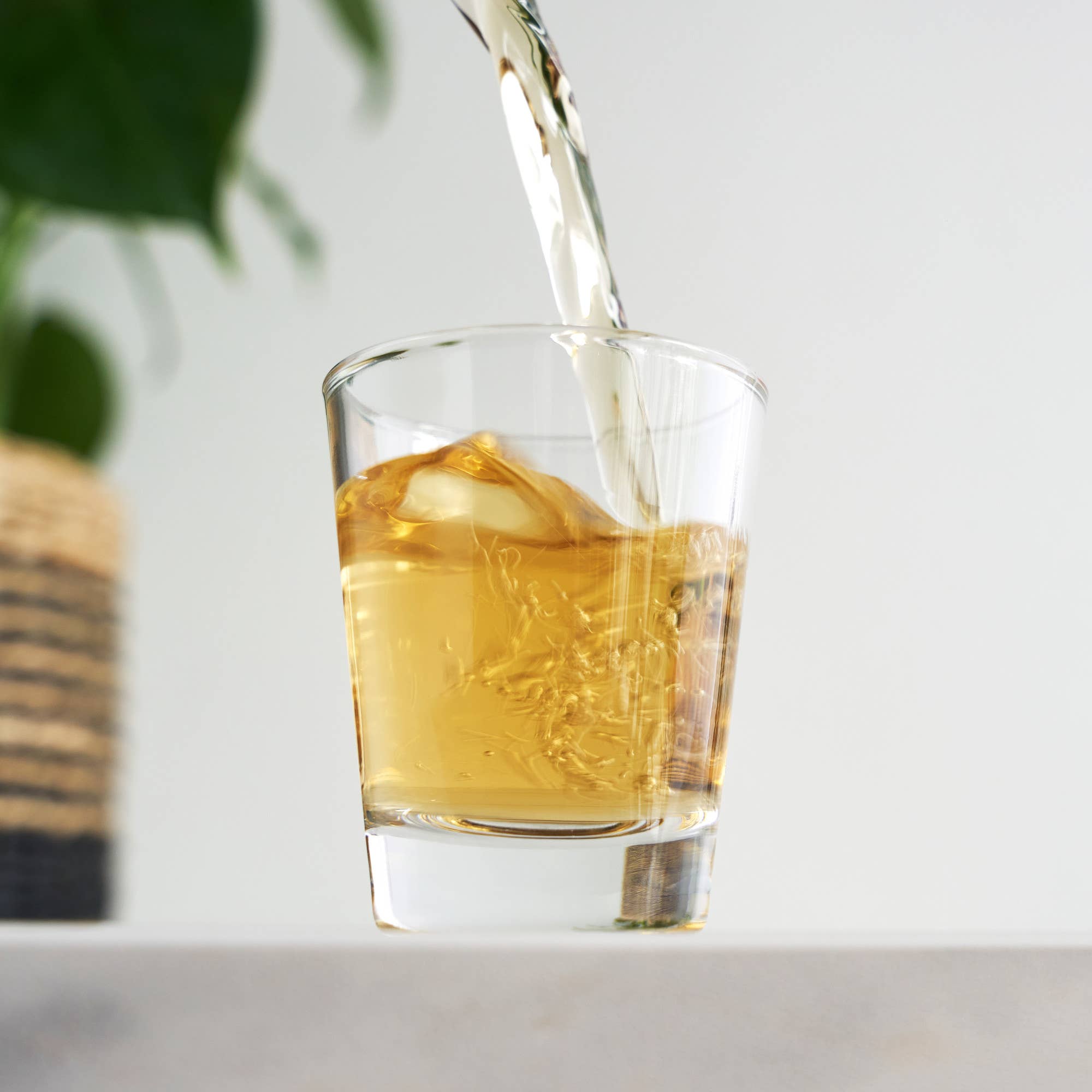 TRUE - Wholesale Shot Glass - Classic Glass Shot Glass 1.5 oz CDU of 121