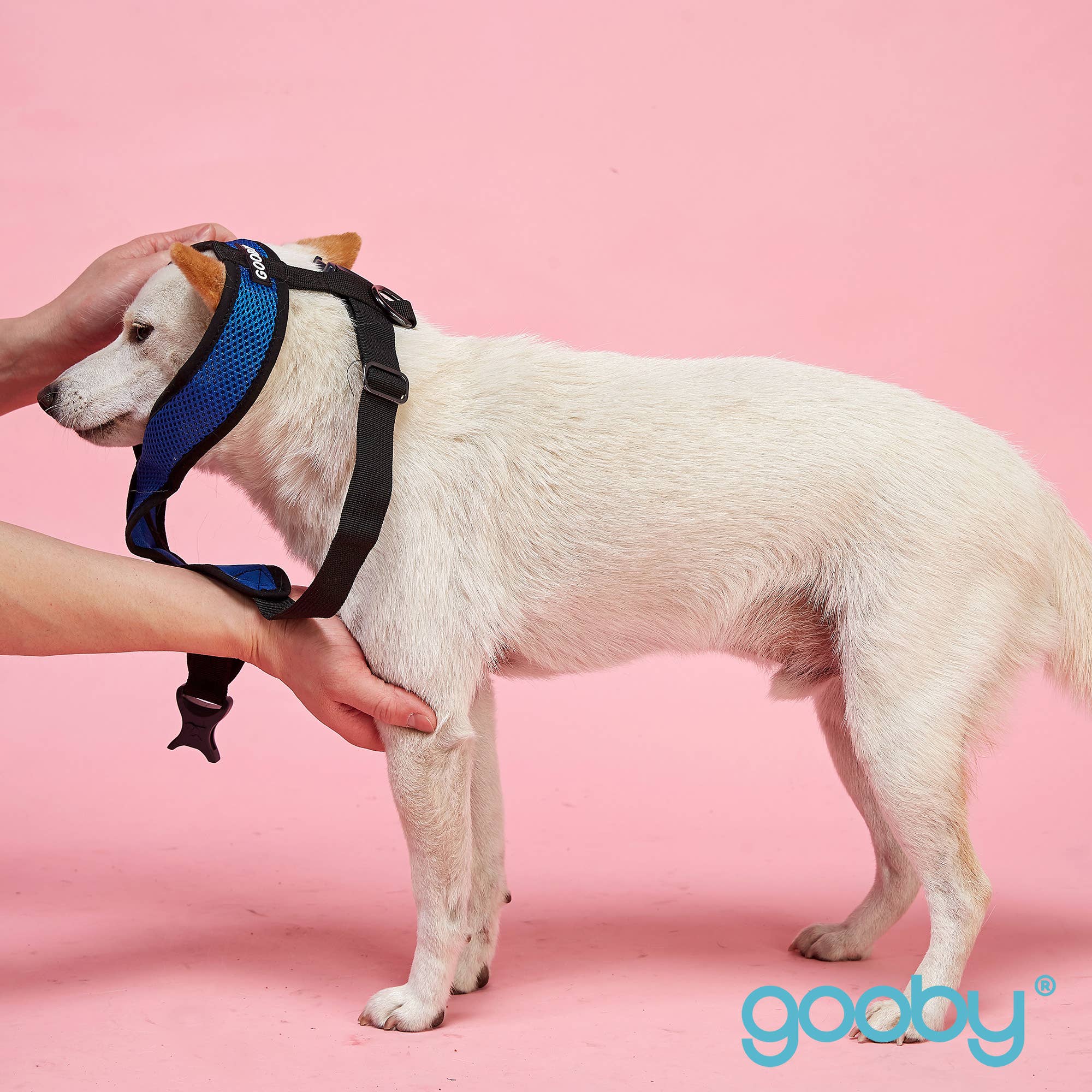 Gooby - Vendita all'ingrosso Pettorina - Cani - #04110 - Imbracatura Head-In Comfort X14
