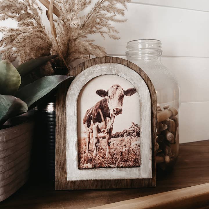 Armação arqueada com bezerro preto e branco por atacado de The Broken Board