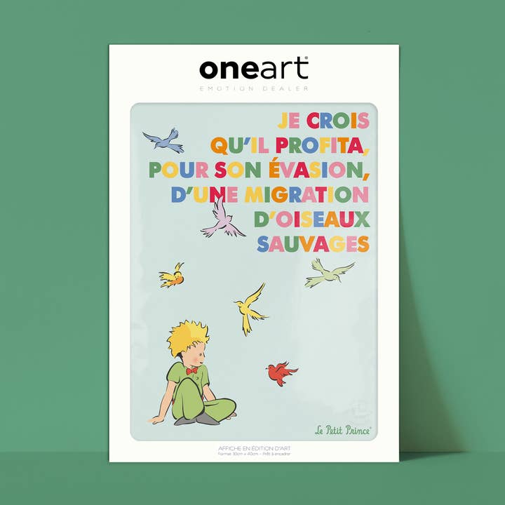 Exibe O Principezinho em Cor, Pássaros 30x40 - LPPC006 por atacado de Oneart