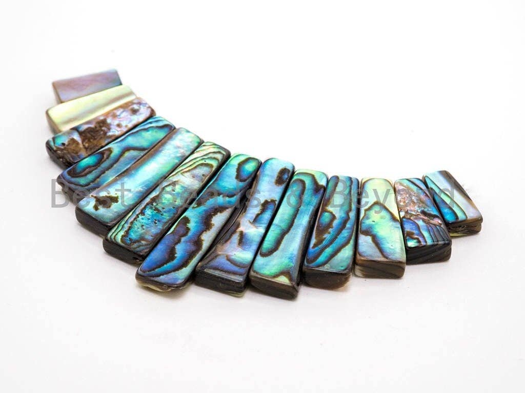 BestBeads&Beyond - Wholesale Beads - Natural Abalone Shell Graduated Bar Shaped Beads, Analone Fo1