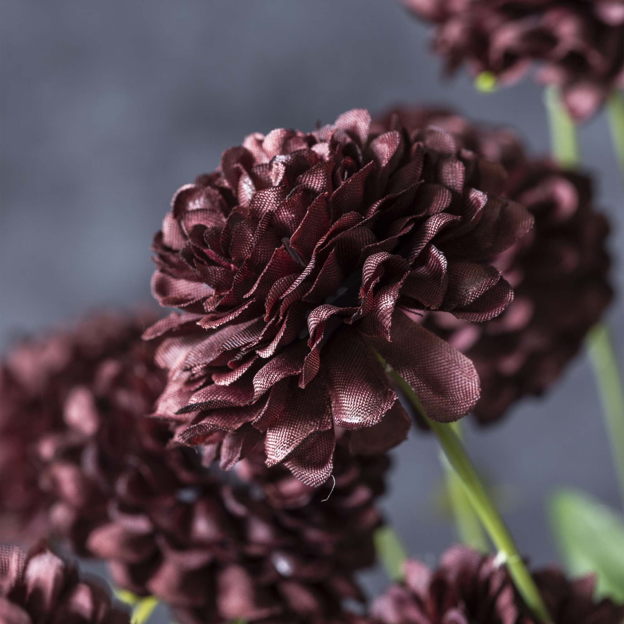 Abigail Ahern – wholesale Artificial flowers – ARTIFICIAL CLOVE STEM1