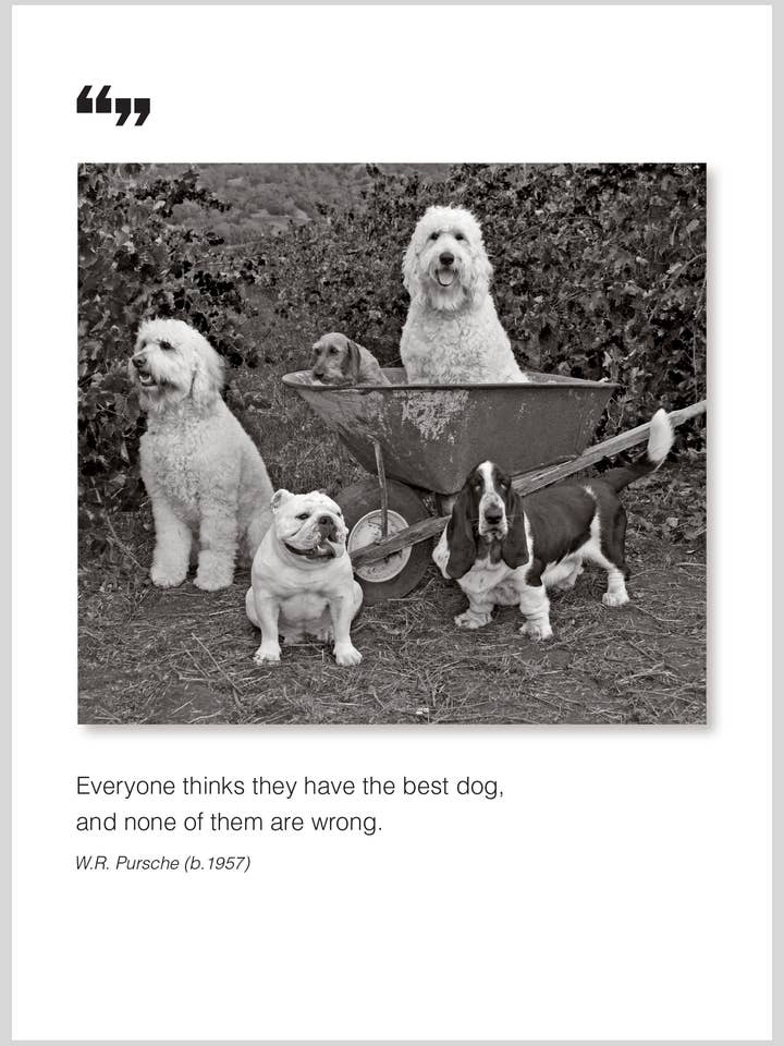 Jeder denkt an Grußkarte für jeden Anlass. für den Großhandel von The Borealis Press Inc