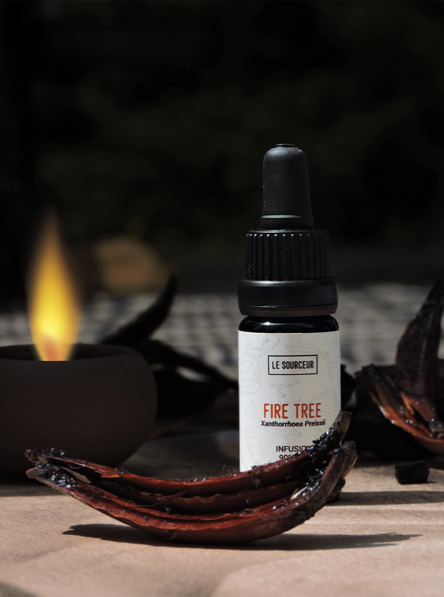 Le Sourceur - Venta al por mayor Aceite de fragancias - Infusión Fire Tree de Le Sourceur1