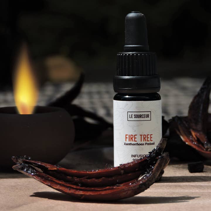 Le Sourceur – Óleo de fragrância por atacado – INFUSÃO DE FIRE TREE1