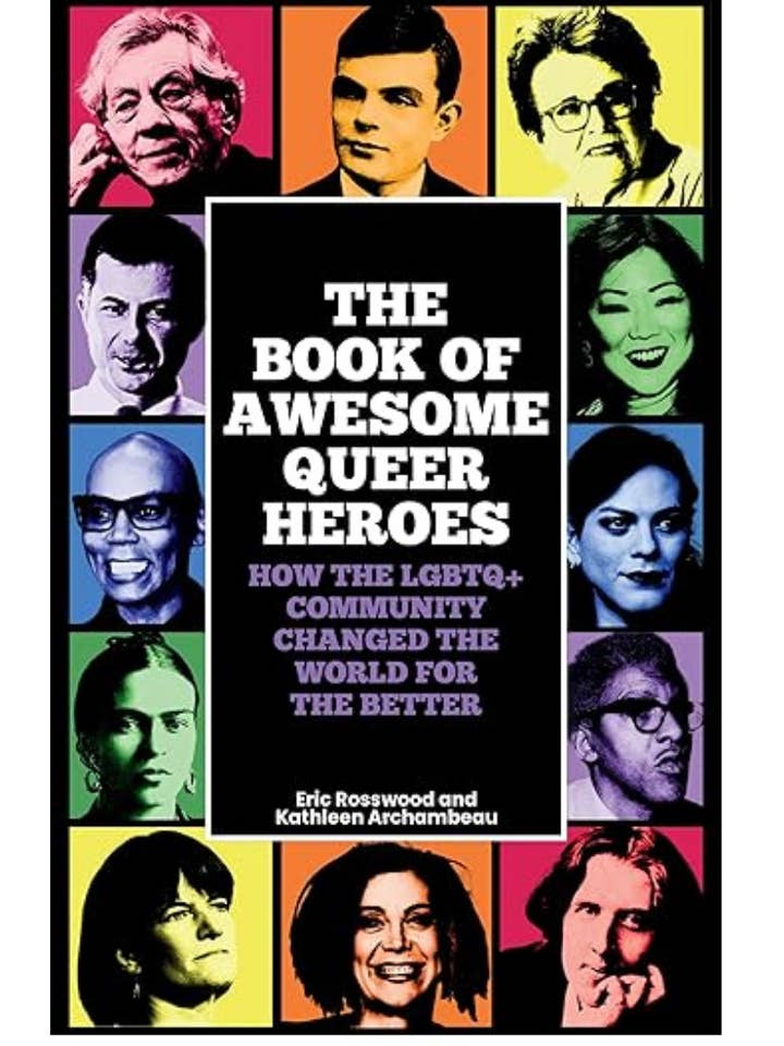 Le Livre des Héros Queer Formidables pour la vente par Books That Save Lives Publishing