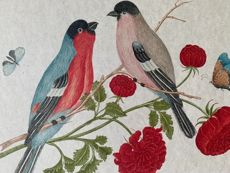 Magnifique Hearts – Großhandel Kunstdruck – Ornithologisch schöne botanische Vogeldrucke 7