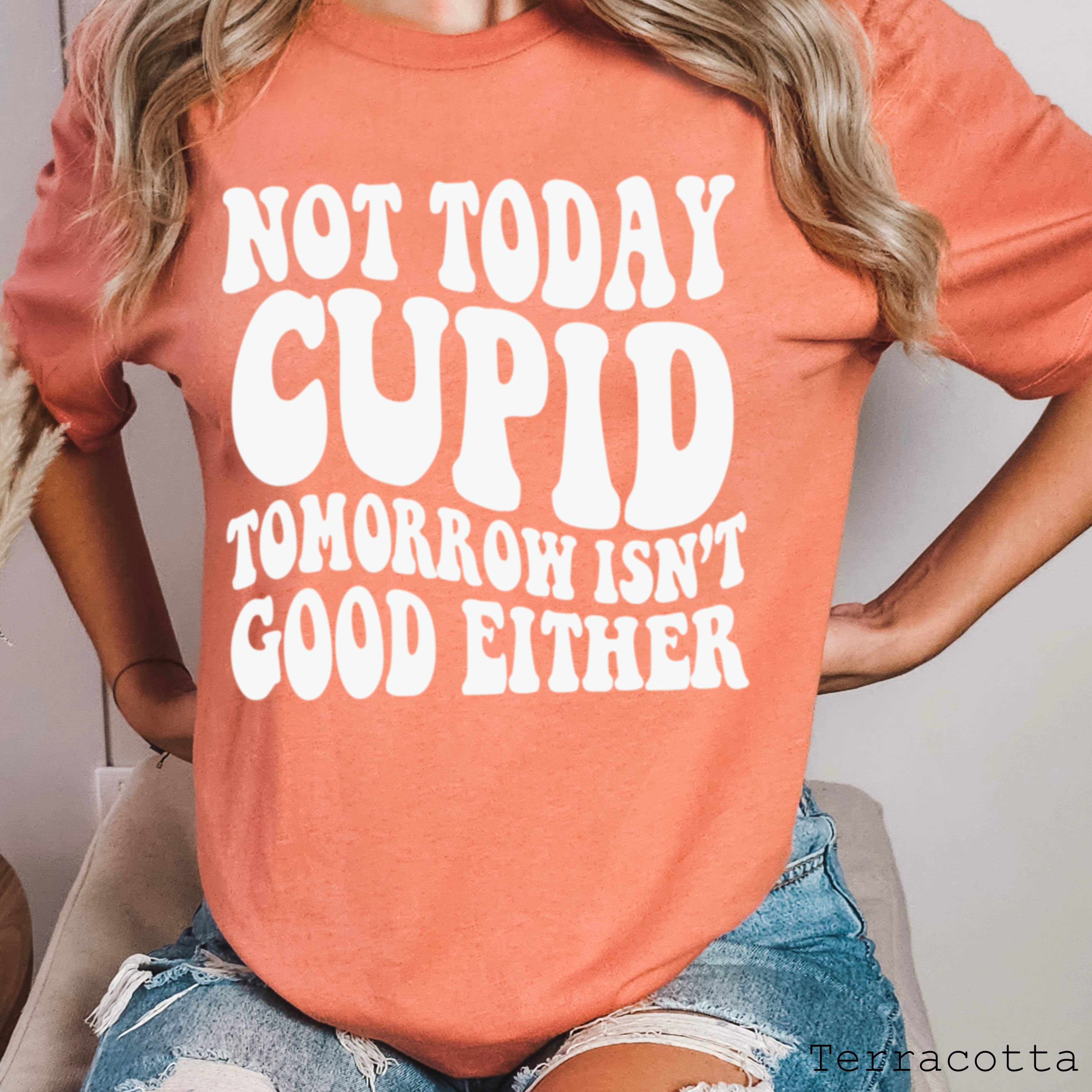 Shoppe SHC - Wholesale Screen Printed T-Shirt - Women's - Not Today Cupid Valentine's Day Graphic Tee | Bella Canvas 14