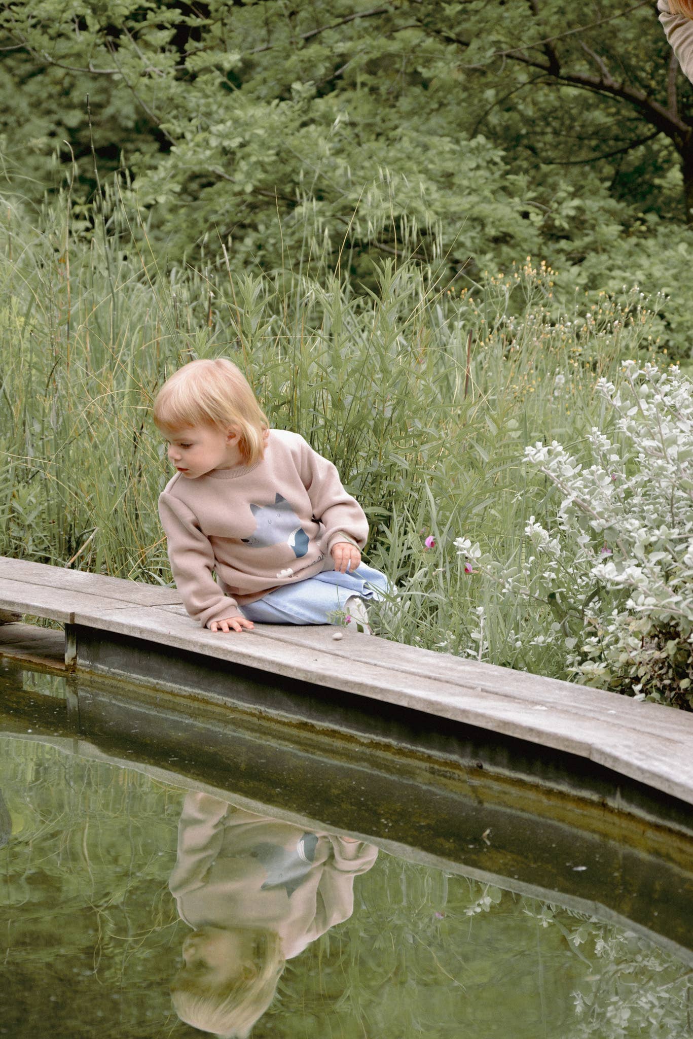 Eli & Nev (we cover U.S. import duties) - Wholesale Sweatshirt - Kids - Baby / Kid Sweatshirt Wolf Print OEKO-TEX4